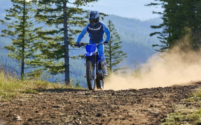 2026 Yamaha Motor Corp., USA TT-R230