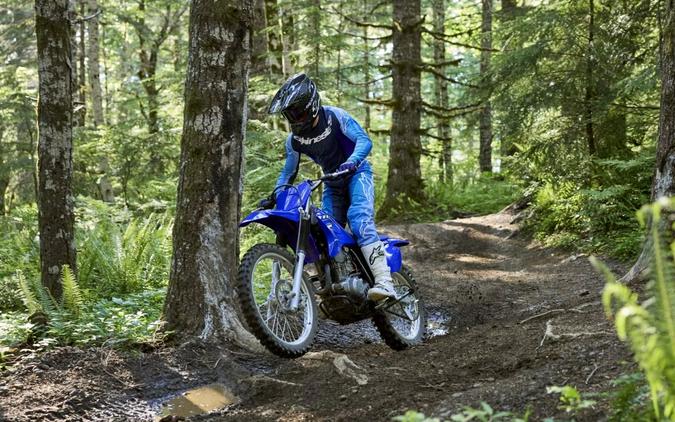 2026 Yamaha Motor Corp., USA TT-R230