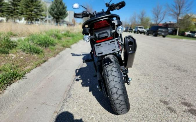 2024 Harley-Davidson Pan America™ 1250 Red Rock / Birch White