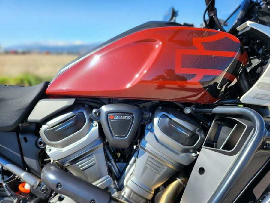 2024 Harley-Davidson Pan America™ 1250 Red Rock / Birch White
