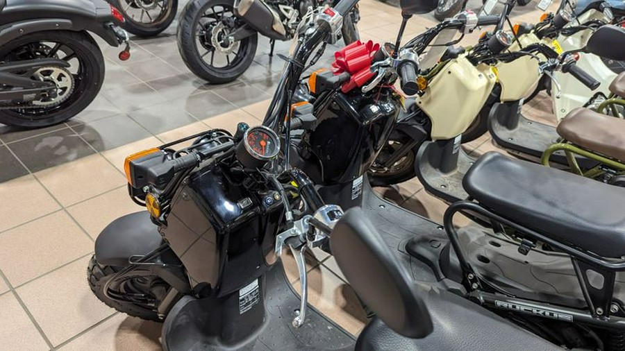 New 2024 HONDA RUCKUS BASE