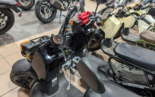 New 2024 HONDA RUCKUS BASE