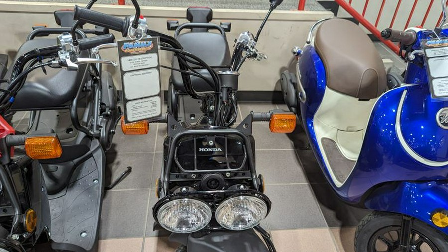 New 2024 HONDA RUCKUS BASE