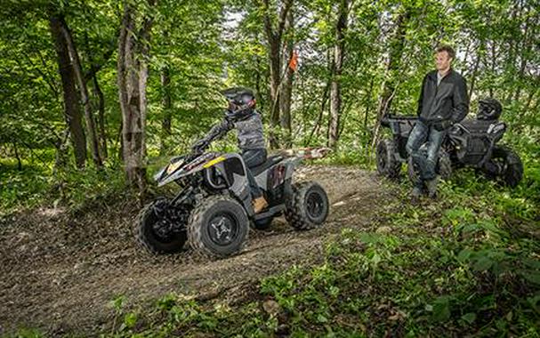 2019 Polaris Phoenix 200