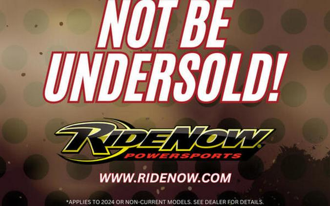 2026 Can-Am® Ryker Rally Rotax 900 ACE