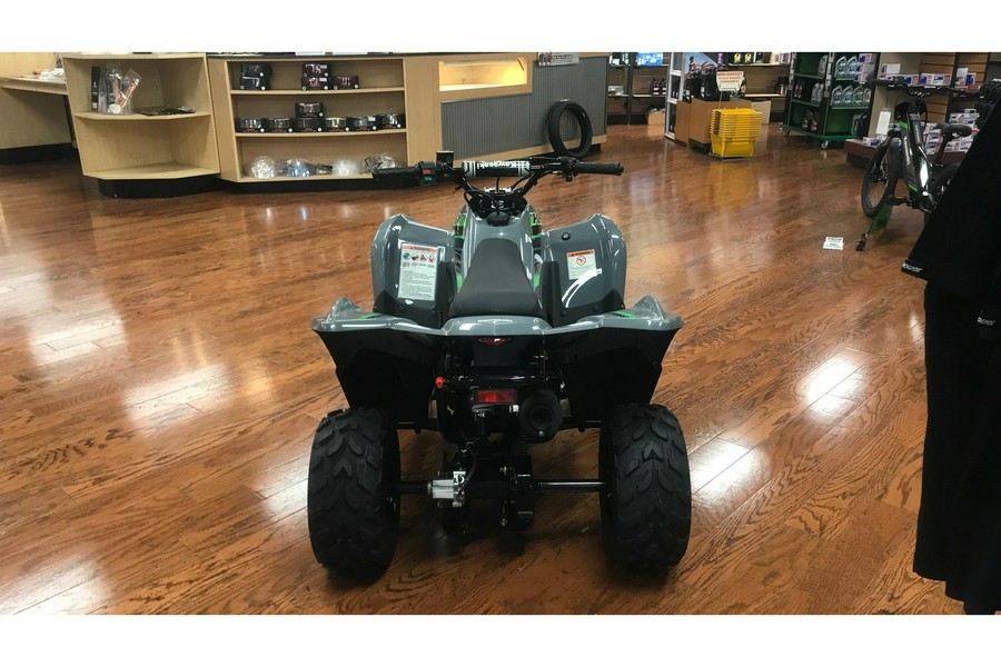 2025 Kawasaki KFX 50 (KSF50CSFNL)