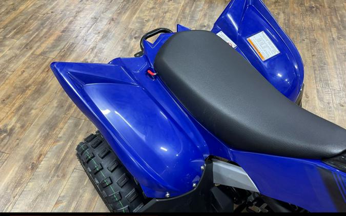 2024 Yamaha Raptor 110