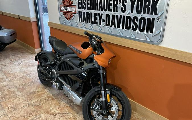 2020 Harley-Davidson® ELW - LiveWire™