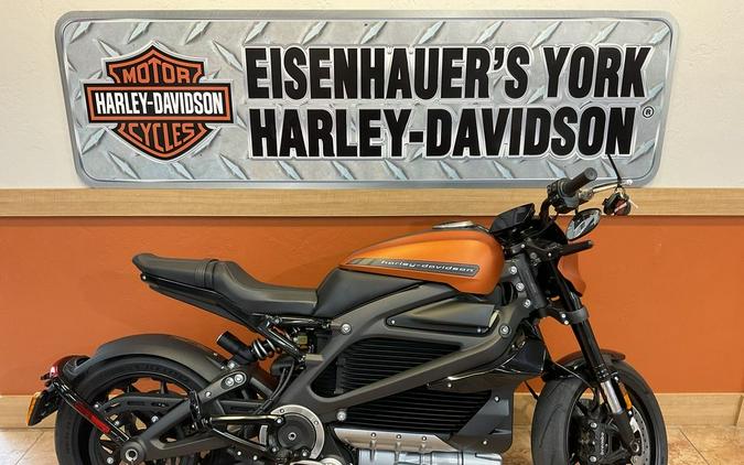 2020 Harley-Davidson® ELW - LiveWire™