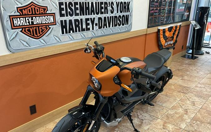 2020 Harley-Davidson® ELW - LiveWire™