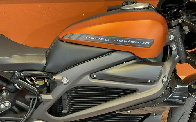 2020 Harley-Davidson® ELW - LiveWire™