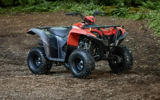 2025 Yamaha Grizzly 110