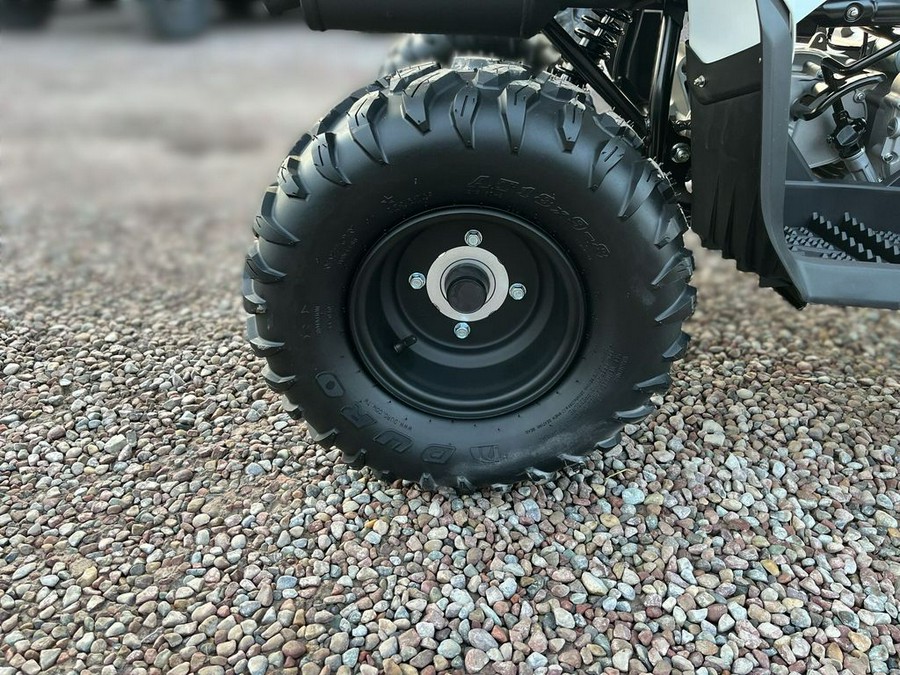 2024 Yamaha Grizzly 90