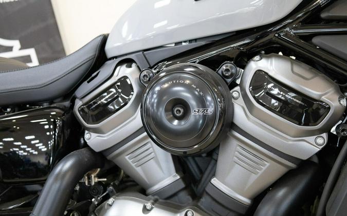 2024 Harley-Davidson® Nightster® Special Billiard Gray RH975S