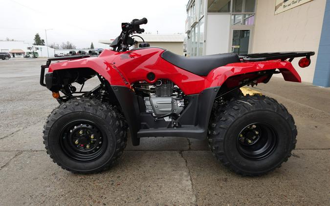 2024 Honda TRX250TM1R Recon 250