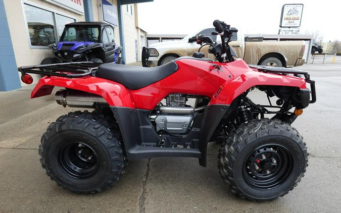 2024 Honda TRX250TM1R Recon 250