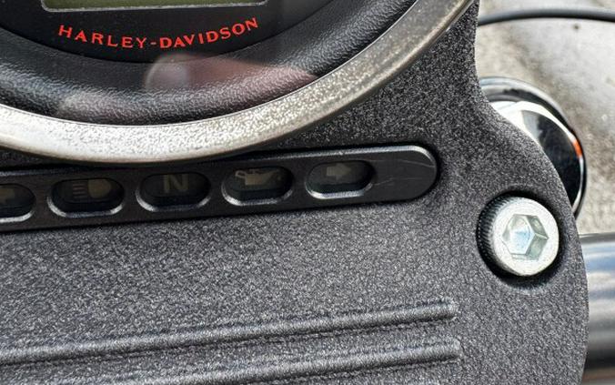 2010 Harley-Davidson® Iron 883™ Black Denim