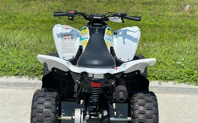 2023 Yamaha Raptor 90