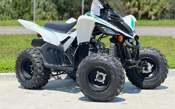 2023 Yamaha Raptor 90