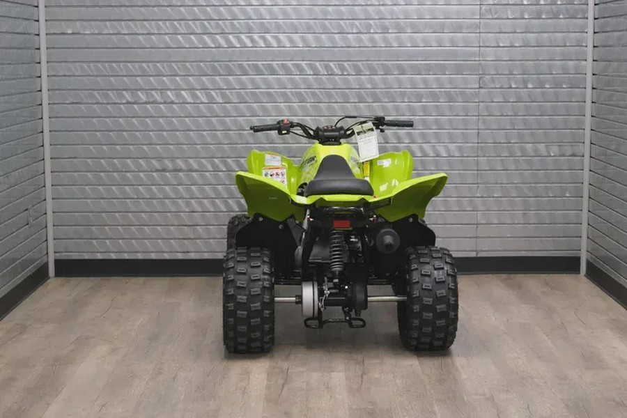 2026 YAMAHA RAPTOR 110