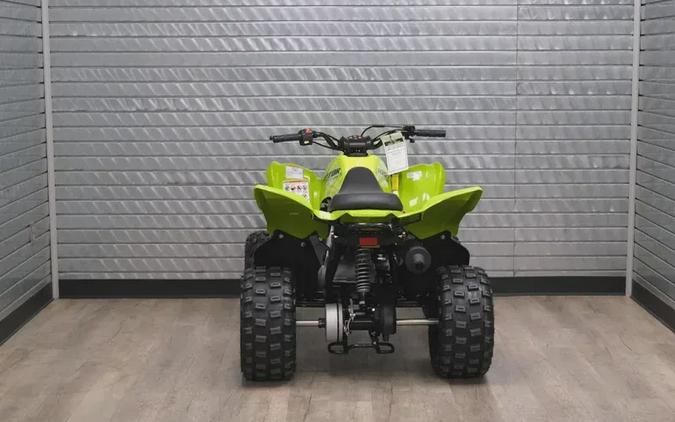 2026 YAMAHA RAPTOR 110