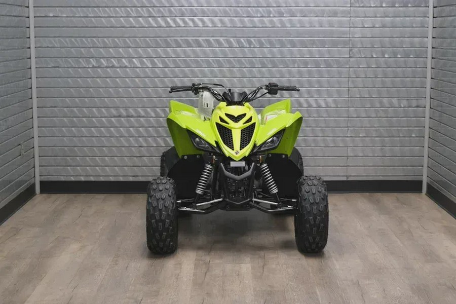 2026 YAMAHA RAPTOR 110