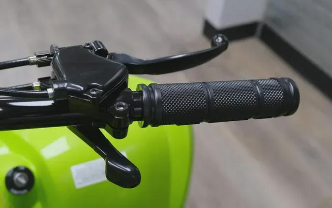 2026 YAMAHA RAPTOR 110