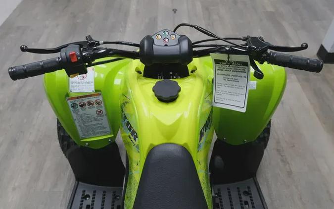 2026 YAMAHA RAPTOR 110