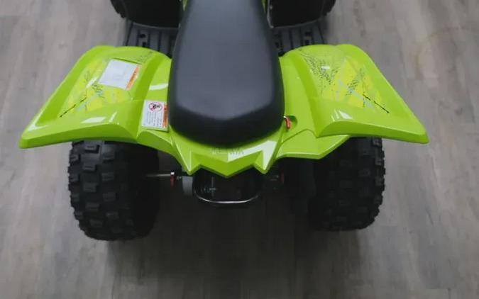 2026 YAMAHA RAPTOR 110