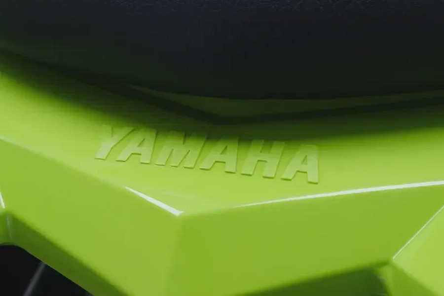 2026 YAMAHA RAPTOR 110