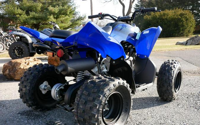 2024 Yamaha Raptor 110