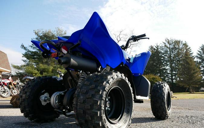 2024 Yamaha Raptor 110