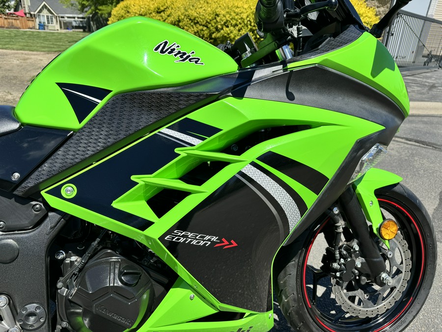 2014 Kawasaki Ninja® 300 SE