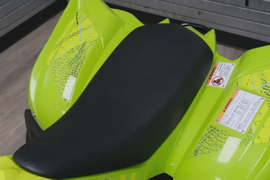 2026 YAMAHA RAPTOR 110