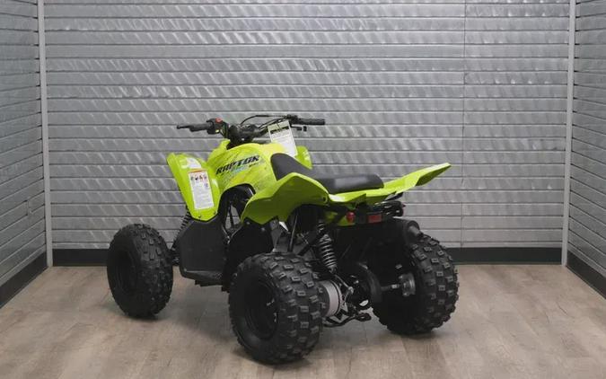 2026 YAMAHA RAPTOR 110