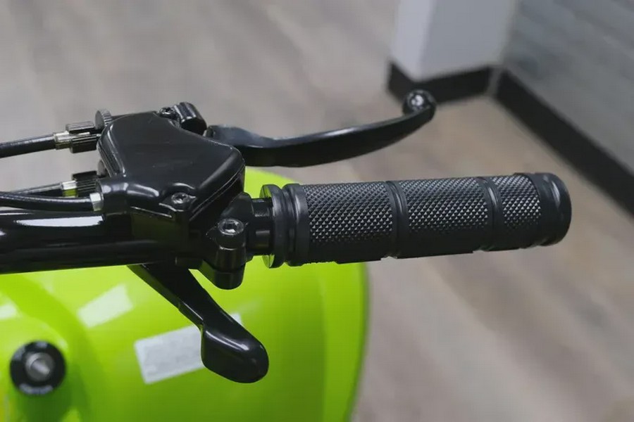 2026 YAMAHA RAPTOR 110