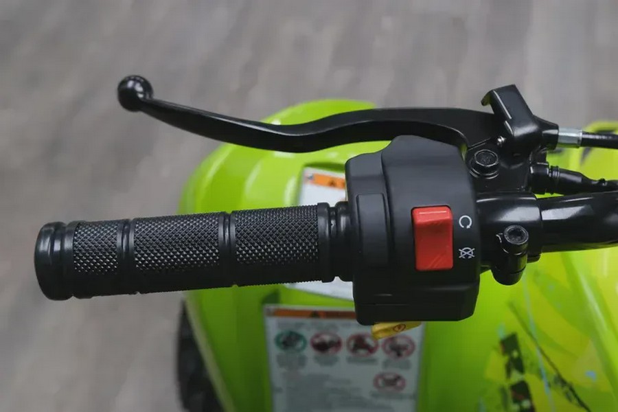 2026 YAMAHA RAPTOR 110