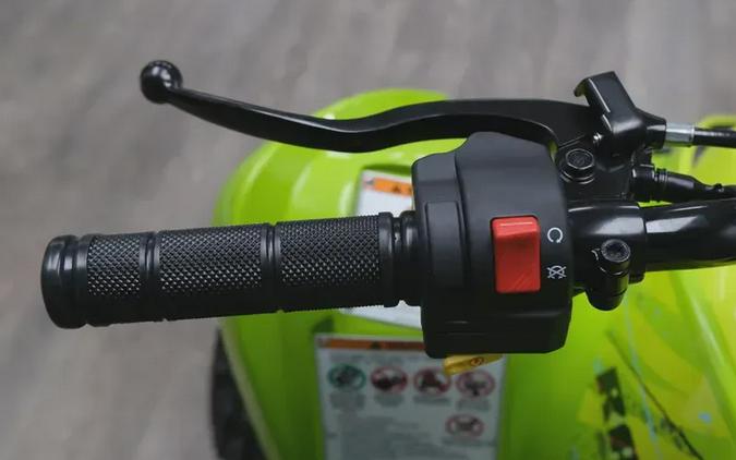 2026 YAMAHA RAPTOR 110