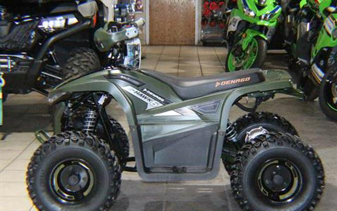 2024 Denago Powersports E-Hawk 6