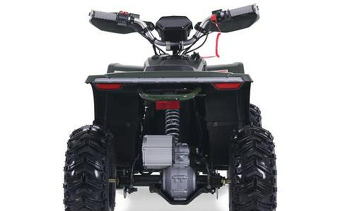 2024 Denago Powersports E-Hawk 6