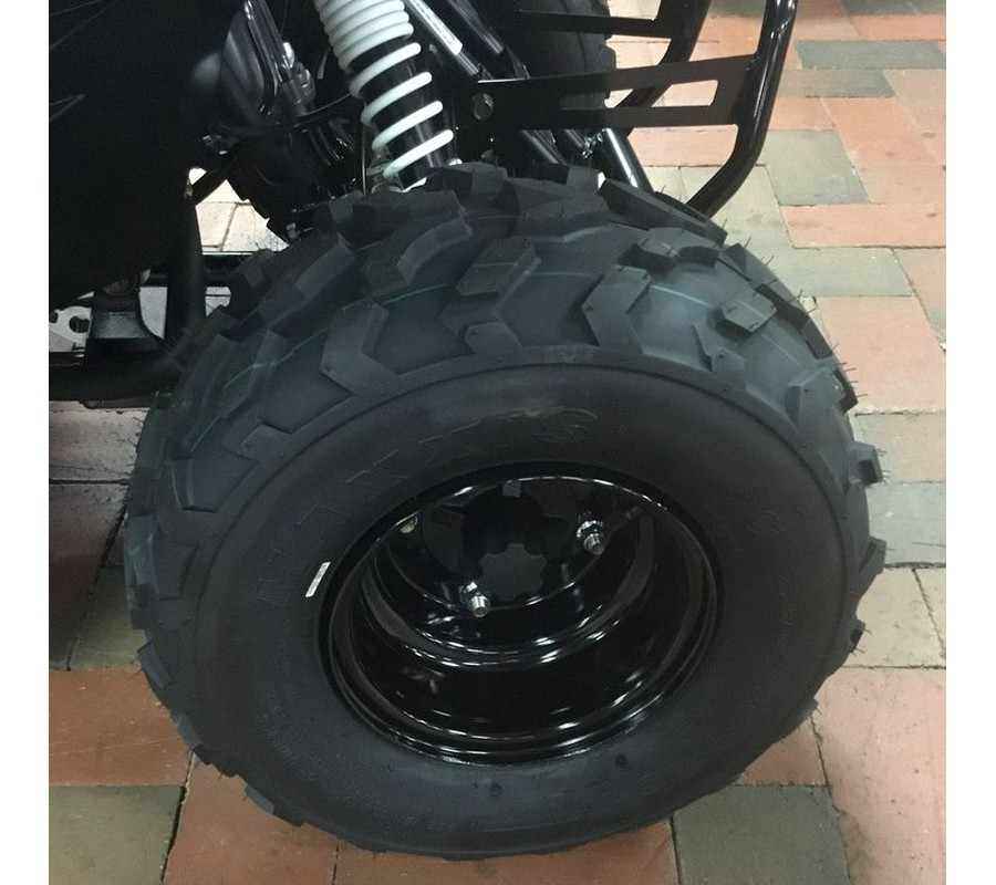 2025 Kawasaki KFX®50