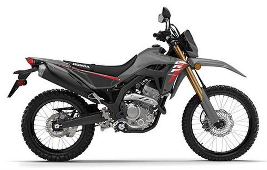 2025 Honda CRF300LS