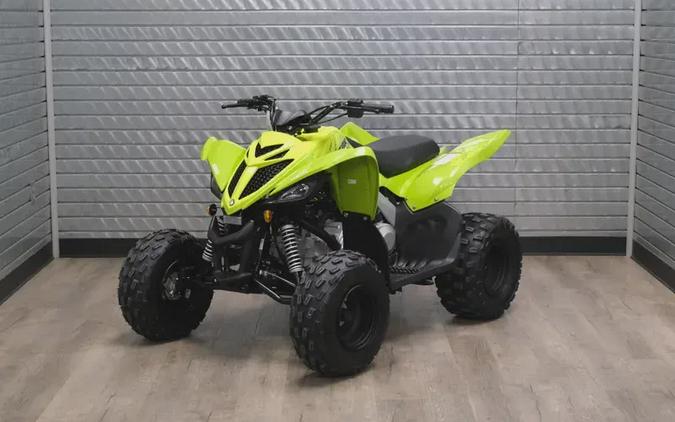 2026 YAMAHA RAPTOR 110