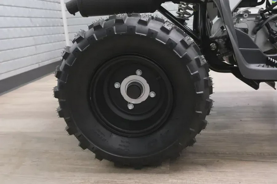 2026 YAMAHA RAPTOR 110