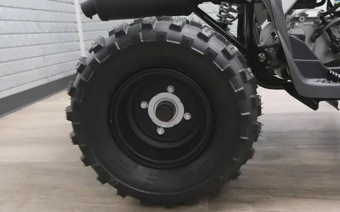 2026 YAMAHA RAPTOR 110