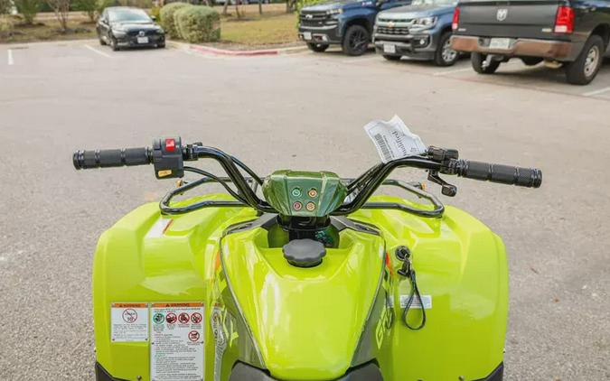 2026 YAMAHA GRIZZLY 110