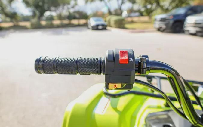 2026 YAMAHA GRIZZLY 110