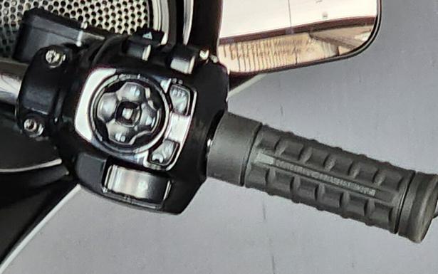 2025 Harley-Davidson® Street Glide™ FLHX BILLIARD GRAY