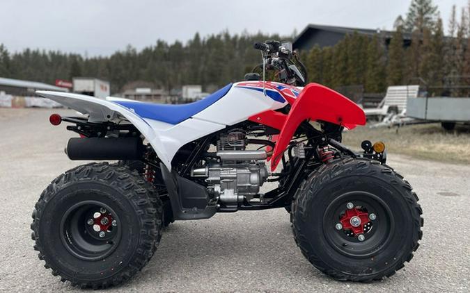 2026 Honda TRX 250X