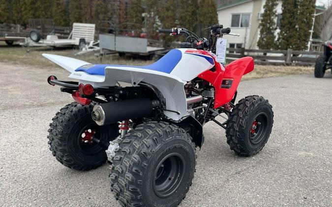 2026 Honda TRX 250X